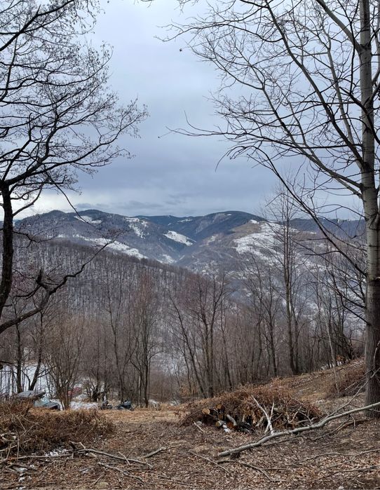 Teren Cabana, Muntele rece, Cluj, Intravilan, accept plata 2 rate