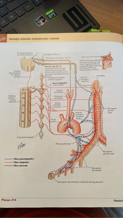 Pregătire BAC biologie & admitere Medicină/Farmacie/Kineto biologie