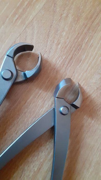 Lot 2 clești pt bonsai