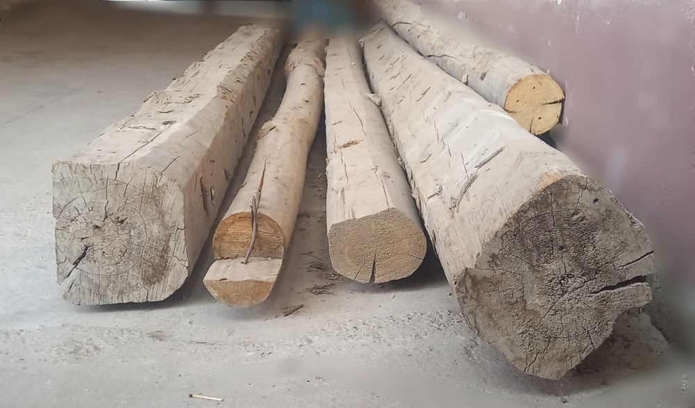 Tosinlik 4.5 metrlik sasna sotiladi