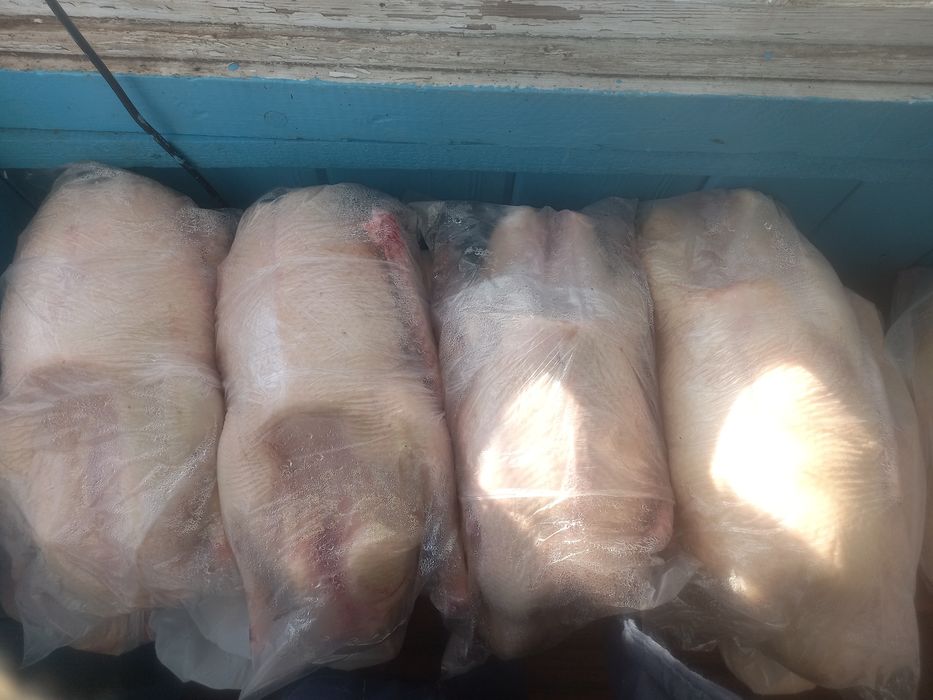Продам тушки гусей