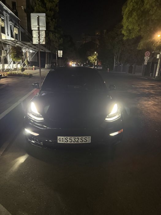 Tesla model 3 Performance 2020