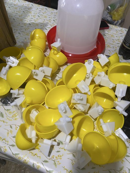 Тауыққа арналған құралдар