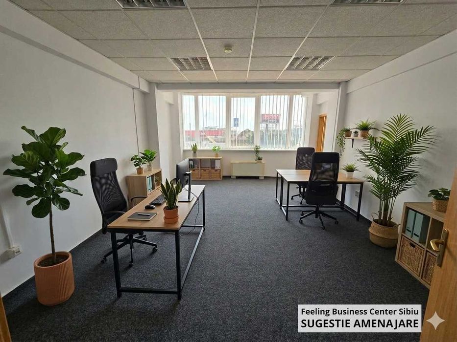 Birouri de închiriat în Sibiu, direct de la proprietar, fără comision