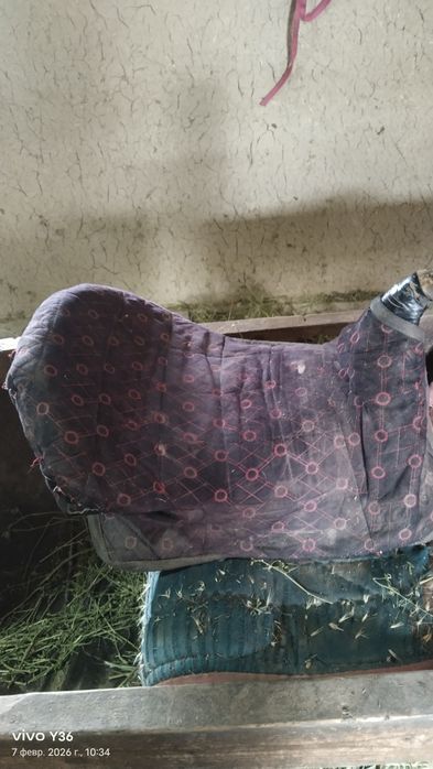 Қазақы ер минус басы сәл қисық болды