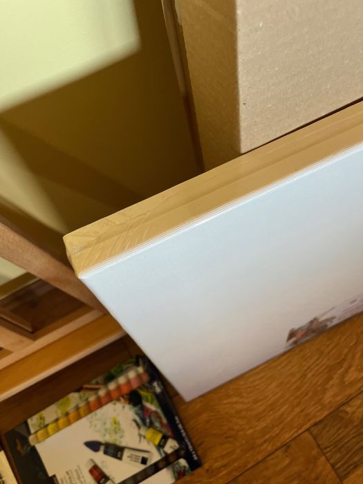 Set pictura: 2x panze, pensule, culori acrylice, suport tablou