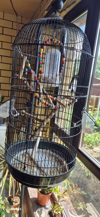 Продам клетку для птиц