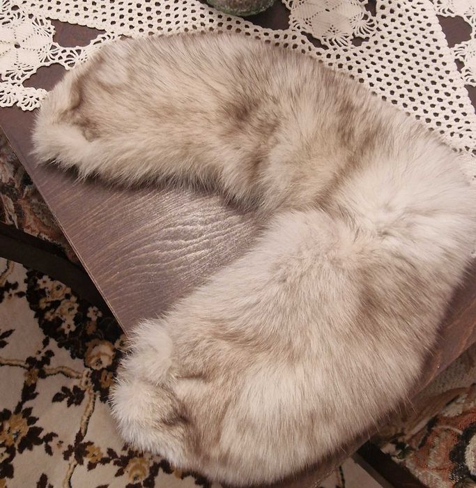 Vand bunda dama blana