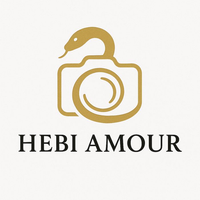 фото, фотограф, видео, видеограф, оператор,