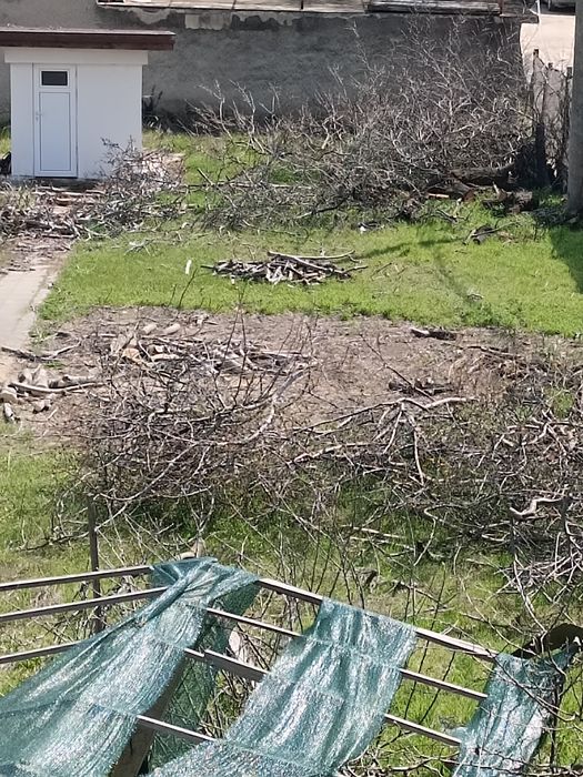 Продавам дърва за огрев, евтино.