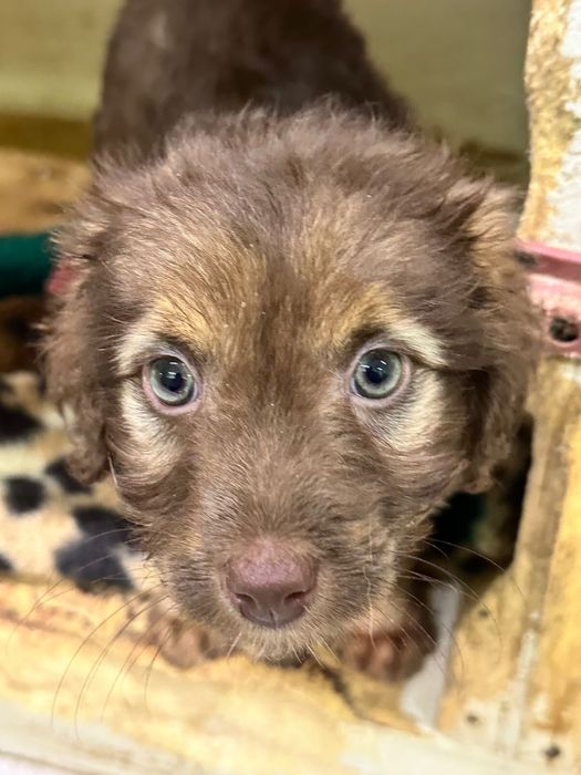 Очень милая девочка ищет самые заботливые руки