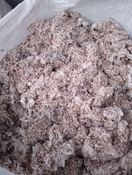 Chulug', (uluk , shulxa, chulqa) mol uchun yem