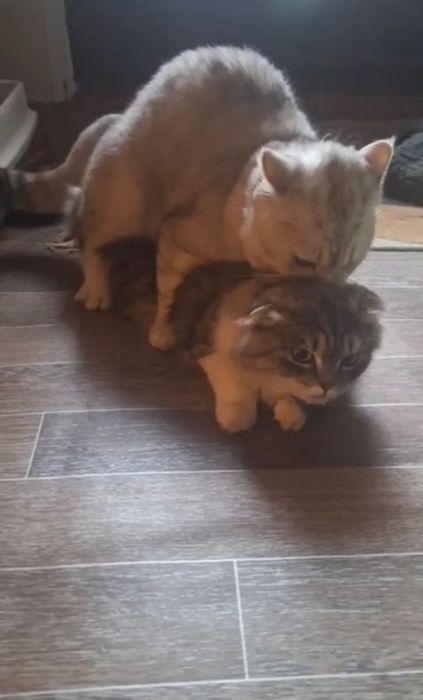 Приглашаем на Взяку!