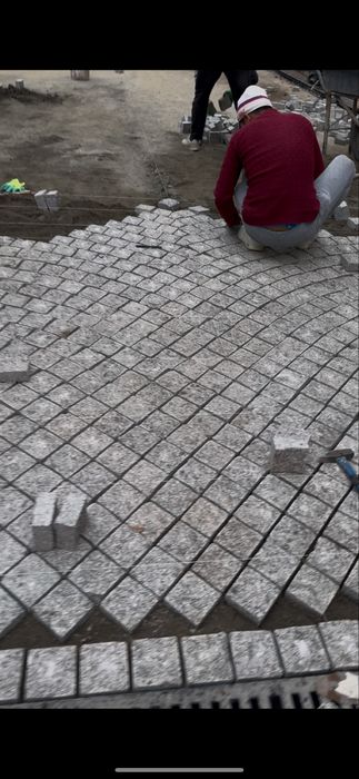 Koksaroy bruschatka. Sfatli mahsulot.