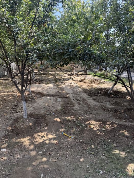 Hovli ijaraga beriladi