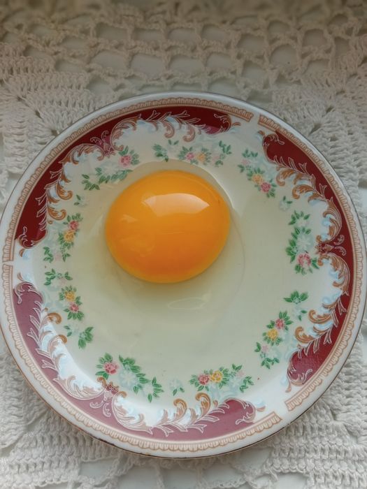 Домашние яйца,без ГМО. На инкубатор.Вывод 98%. Свежие.