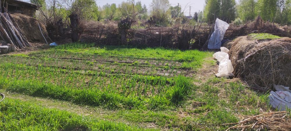 Продам дом: 3 комнаты и кухня