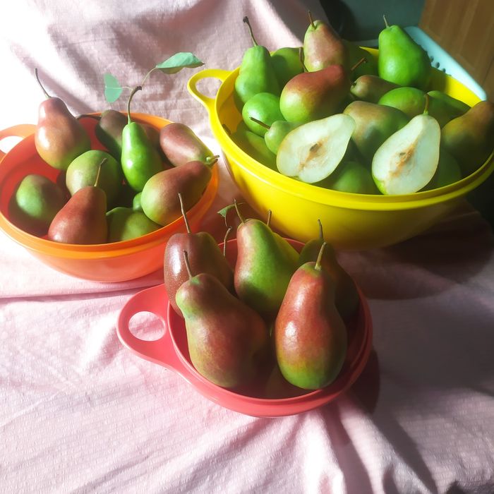 Продам грущи Талгарская красивица
