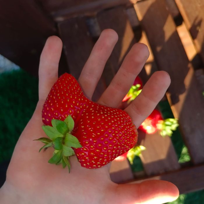 Отличная дача с банькой!