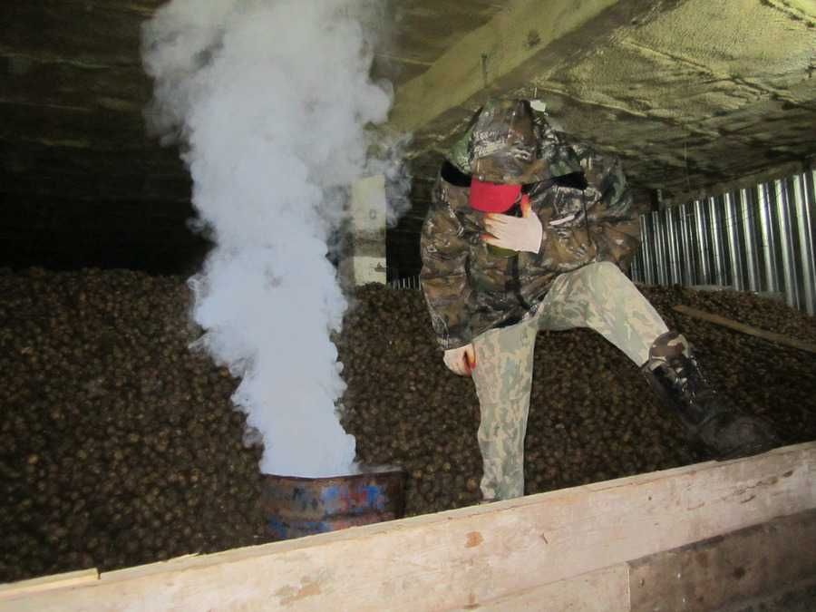 Бытовая химия для участка, огорода, дачи от тли и насекомых