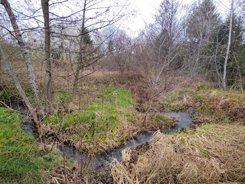 Teren Superb la Munte, Drăguș (BV) – Țara Făgărașului, zonă turistică, cu pârău, lângă Pârtia de Ski, Aventura Parc & Pizza Drăgus - 1000mp