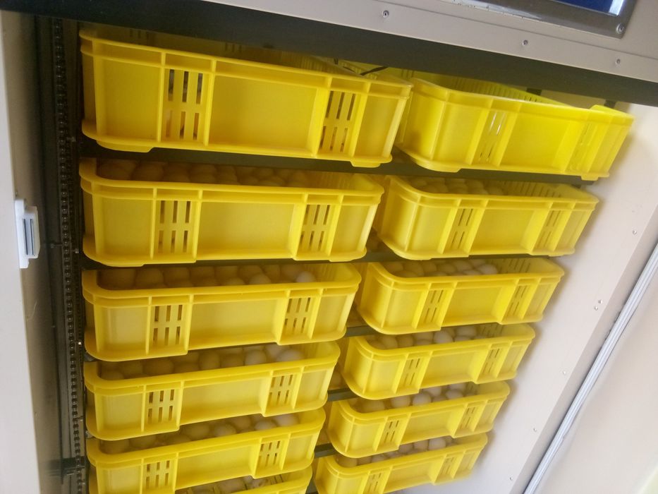 Инкубатор сотилади 1056 талик 2 та