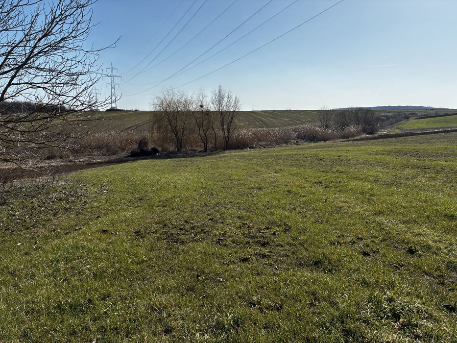 Teren intravilan 3.000 mp Niculesti Movila