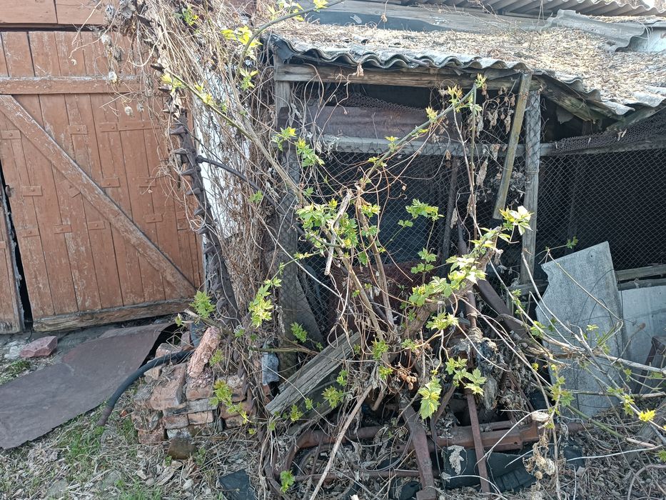 Продам трактор !