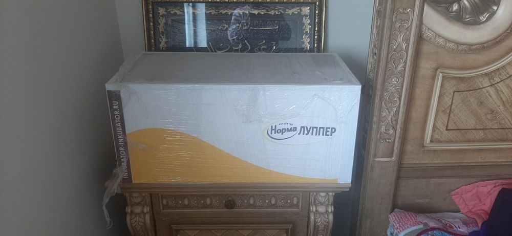 Инкубатор Норма Лупер