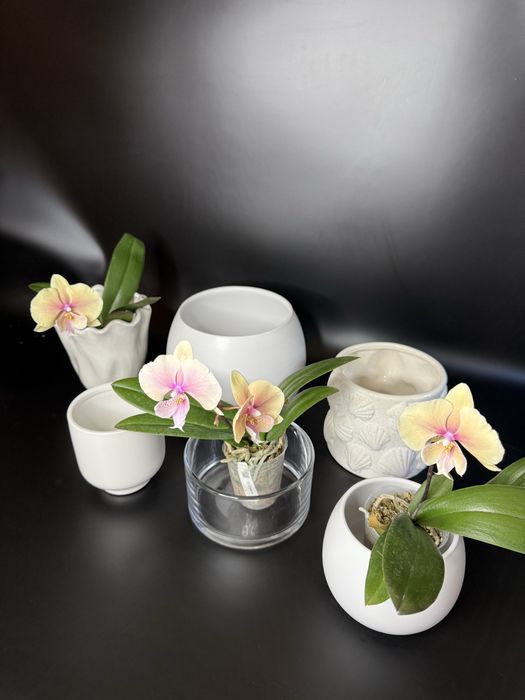 Стильные вазы для декора и растений