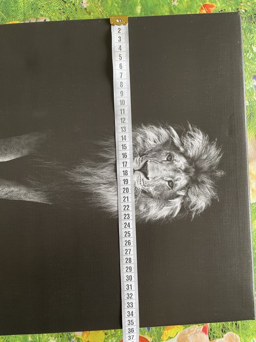 Tablou decorativ cu Leu