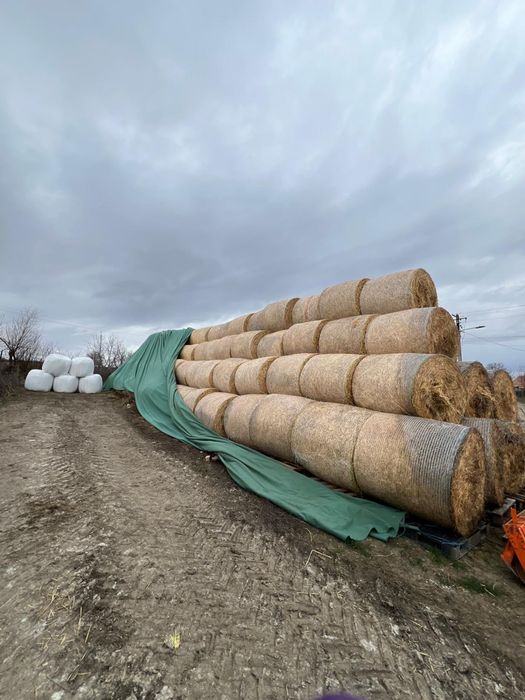 Baloti lucerna coasa 3-4