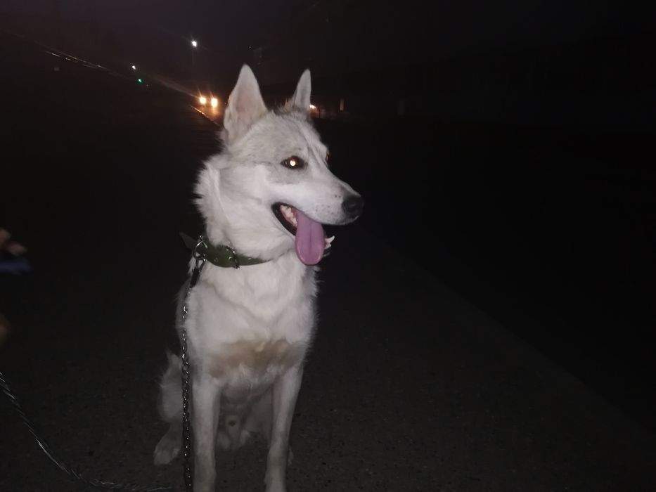 Розыск!!! Прошу помогите найти