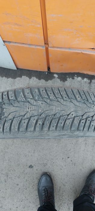 Шина зимняя NEXEN