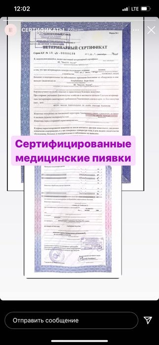 караганда пиявки