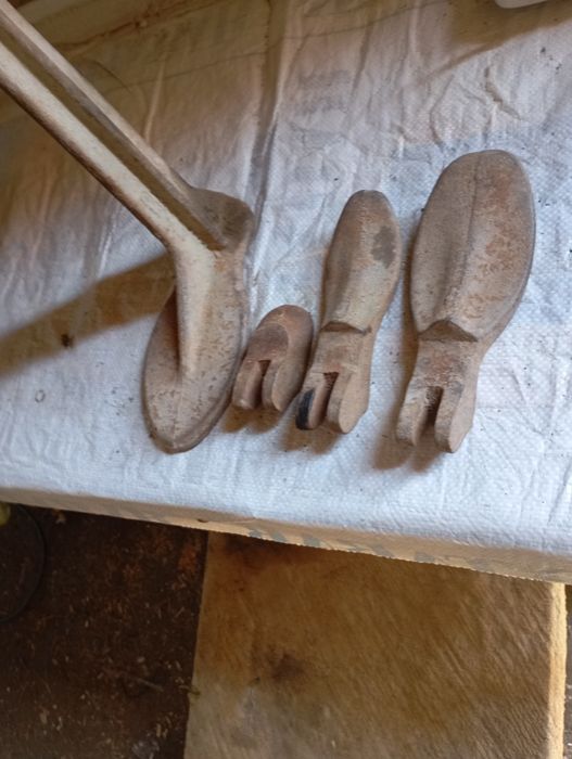 Лапка сапожников