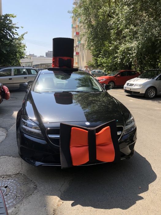 Decoratiuni/Ornamente masini nunta mire&mireasa Joben/Coronita masina