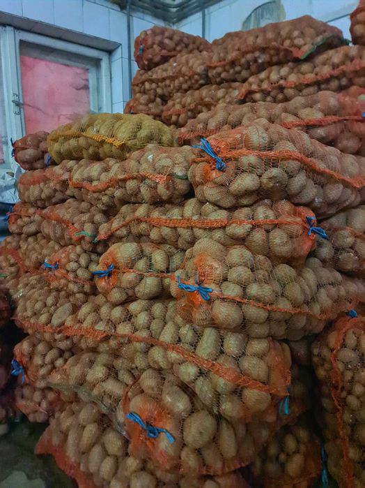 Cartofi în cantitate mare