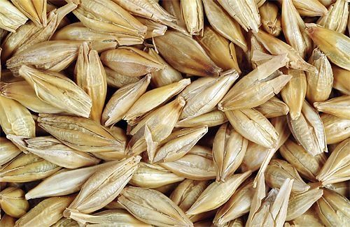 Шала Рисовая, можно на корм