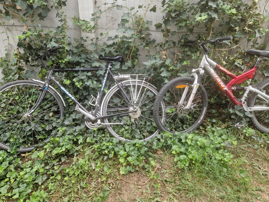Giant Biciclete 1000 ambele