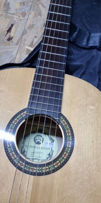 Chitara Reghin Student N