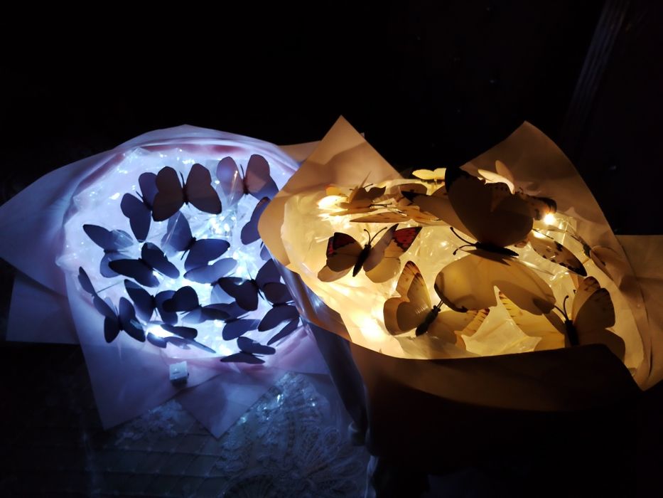 Kapalaklar Бабочки