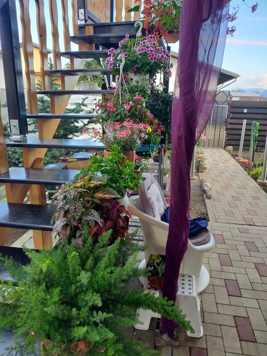 Casa de vânzare cu teren propriu