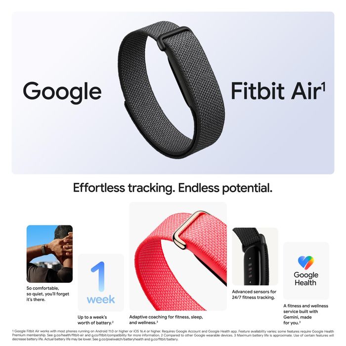 Google Fitbit Air