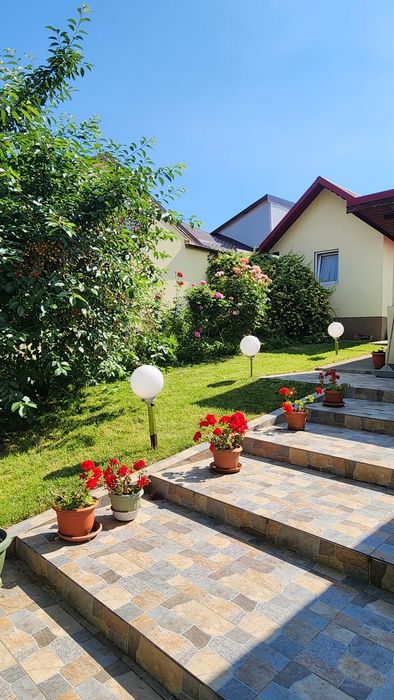 Servicii de curățenie si renovare zugraveli.