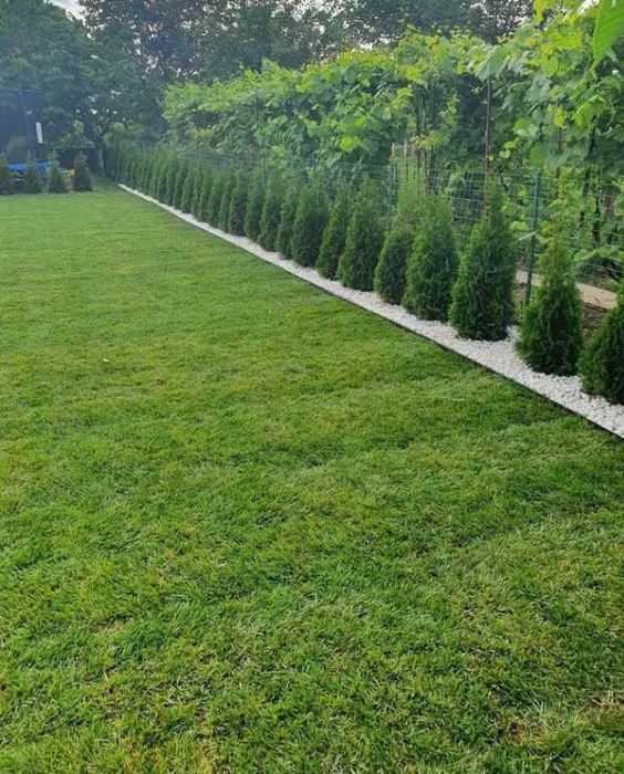 Gazon Rulou si sisteme de Irigare