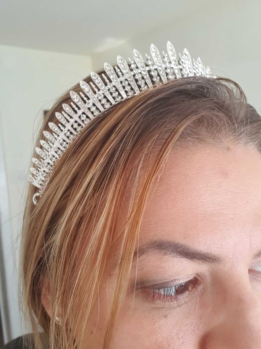 Coronita argintie - sloi de gheata