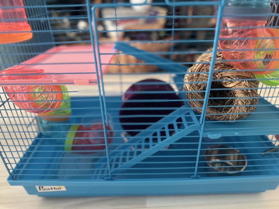 Vând cușcă hamster cu accesorii + un sac de așternut sigilat