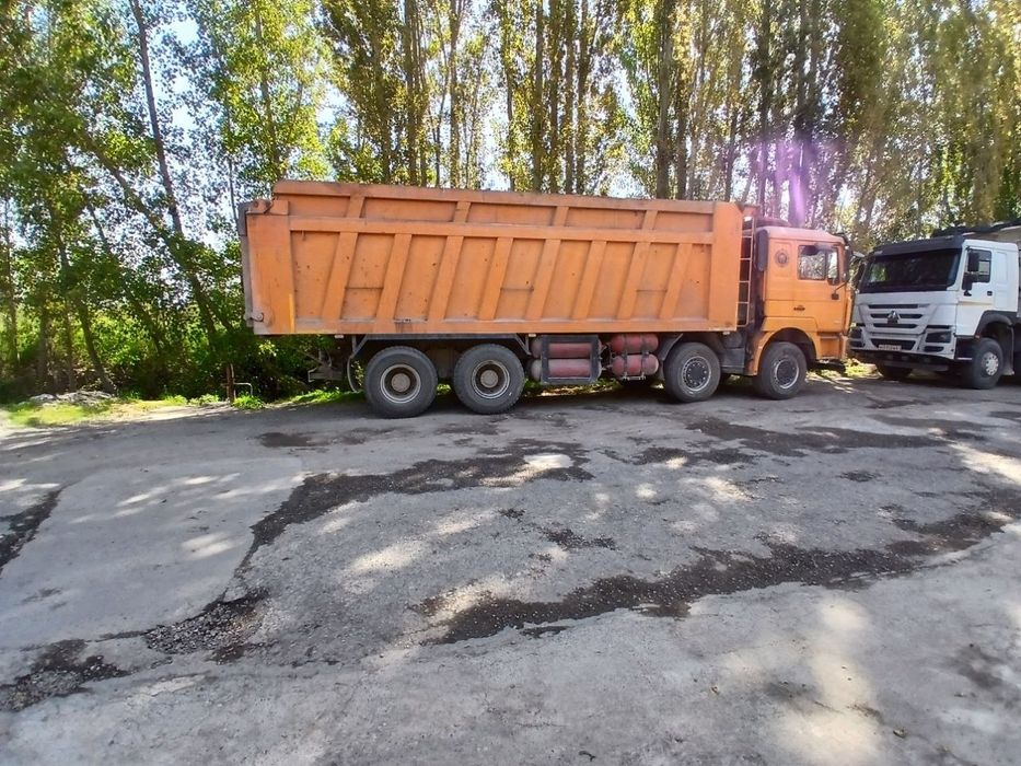 Чакман самасвал сараканошка