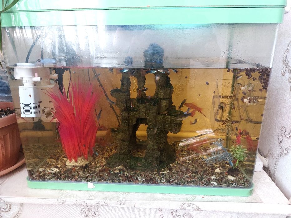 Продам Аквариум с рыбками